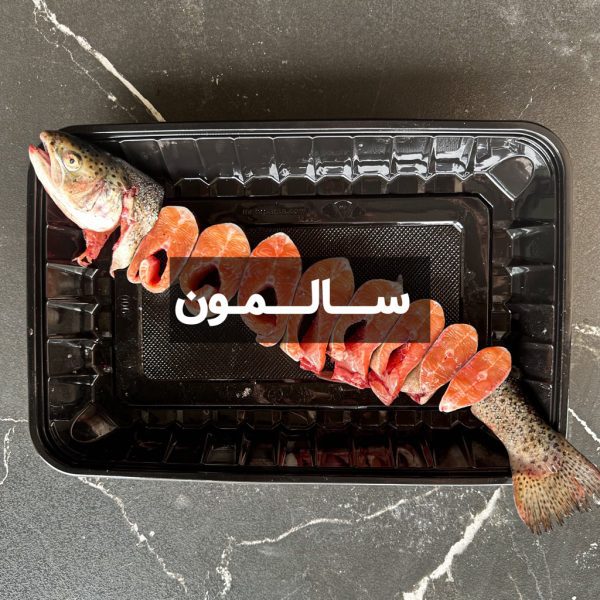ماهی سالمون
